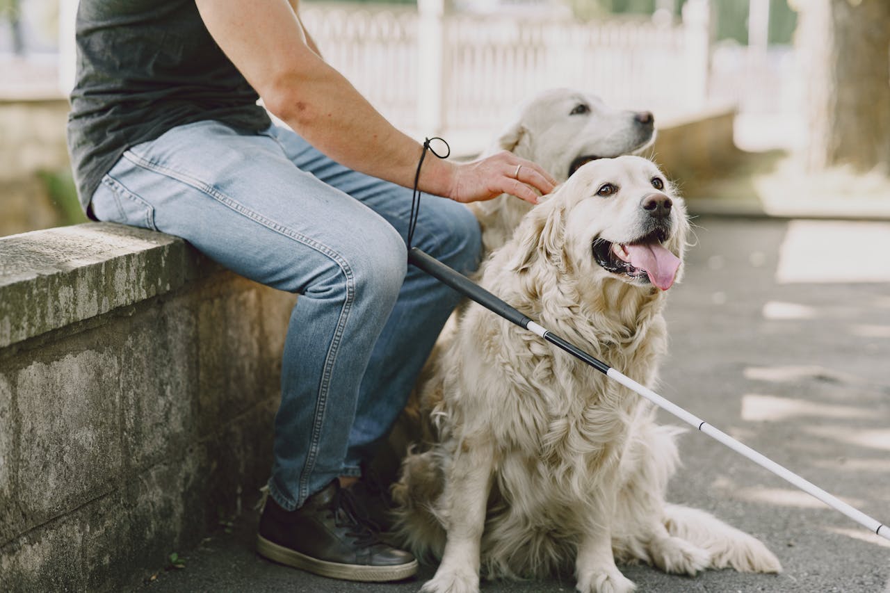 owner with two dogs